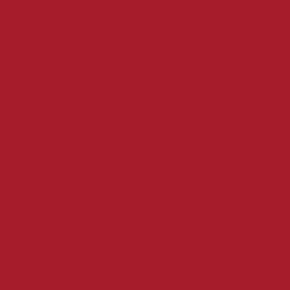 Servet 24 x 24 cm 2 laags rood 300 stuks opdienen
