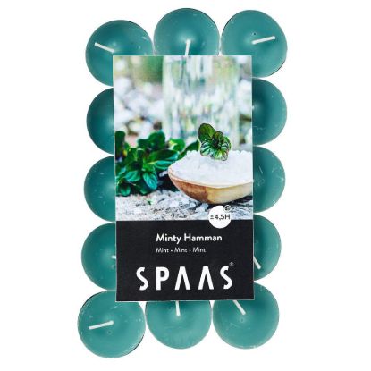 Theelicht Minty Hammam 4.5 h 30 stuks