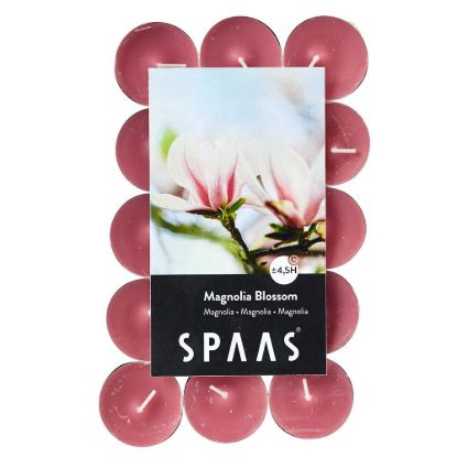 Theelicht Magnolia Blossom 4.5 h 30 stuks
