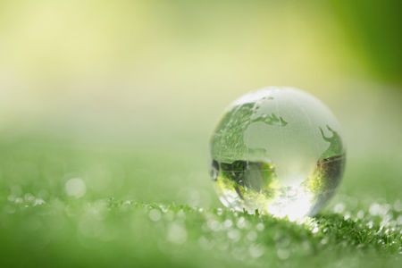 Afbeelding voor categorie Bio