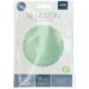 Ballon muntgroen